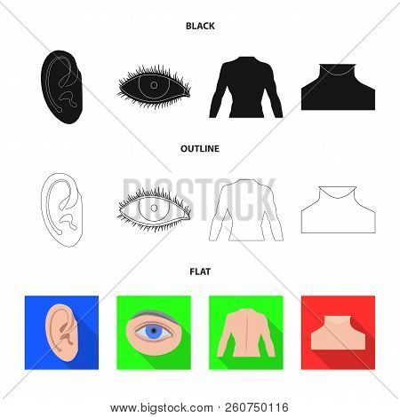 Isolated Object Of Human And Part Sign. Collection Of Human And Woman Stock Vector Illustration.