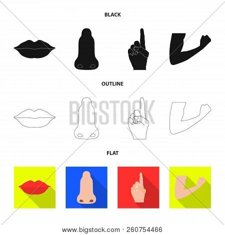 Vector Illustration Of Human And Part Logo. Set Of Human And Woman Vector Icon For Stock.