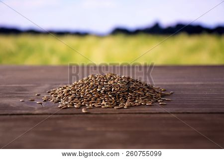 Lot Of Whole Fresh Brown Flaxseeds Heap With Green Wheat Field In Background