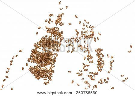 Lot Of Whole Fresh Brown Flaxseeds Flatlay Isolated On White Background