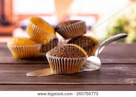 One Whole Fresh Baked Marble Muffin On Silver Cake Server With Books Near The Window In Background