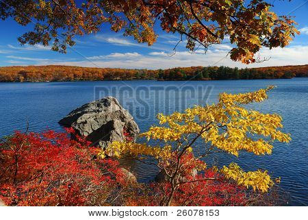 Herbst Berg mit Blick auf den See und bunte Blätter im Wald.