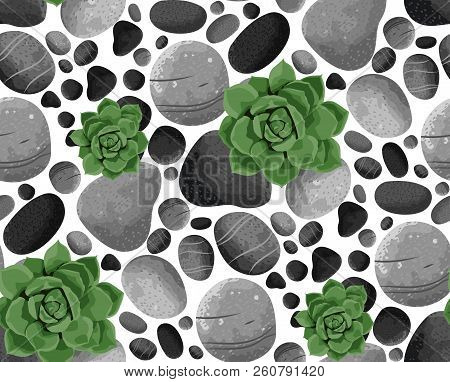 Seamless Vector Pattern Succulents And Stones. Floral Texture For Design, Textile.