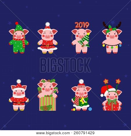 Set Little Pig, Piggy Characters Illustration. Happy New Year