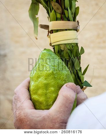 Hands Of A Caucasian Man Holding A Traditional Set Of Four Species For The Jewish Sukkot Holiday: Et