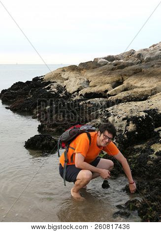 Man Takes Many Black Mussels On The Rock By The Sea