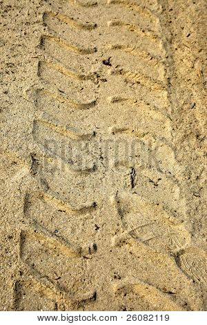 Tire tracks mark the sand on a beach.