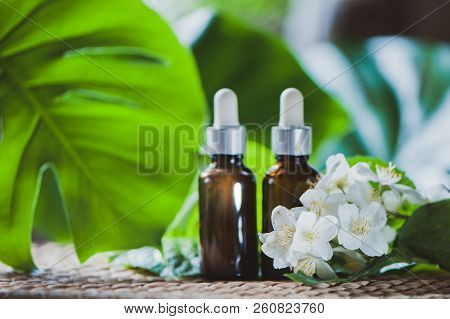 Essential Jasmine Oil. Bioproduct, Organic Cosmetics. Perfumery, Cosmetology, Aromatherapy