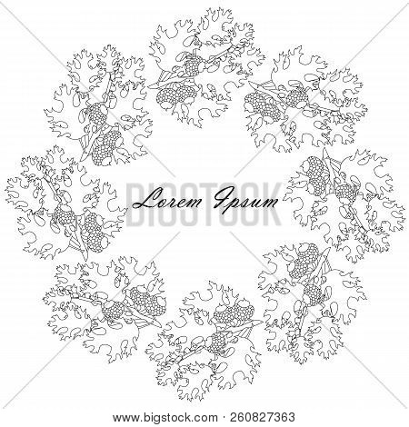 Oak Leaves, Fruits Monochrome Circle Background, Lorem Ipsum With Black Outlines, Design Element Sto
