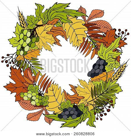 Thanksgiving Wreath For Holiday Lettering Vector Card