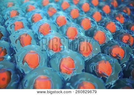 3d Illustration Human Cells. Cell Colony. Concept Of Science And Medicine, The Regeneration Of Cells