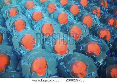 3d Illustration Human Cells. Cell Colony. Concept Of Science And Medicine, The Regeneration Of Cells