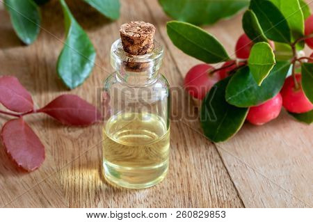 A Bottle Of Essential Oil With Wintergreen Leaves And Berries