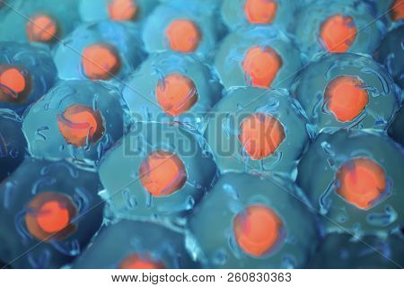 Human Cells. Cell Colony. Concept Of Science And Medicine. Regeneration Of Cells, Renewal Of Cells, 