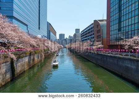 Meguro, Tokyo, Japan - March 25, 2018: Cherry Blossom Season In Tokyo At Meguro River, Japan.