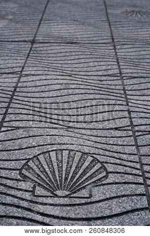 floor sea shell sign in la Toja island of Pontevedra Galicia Spain