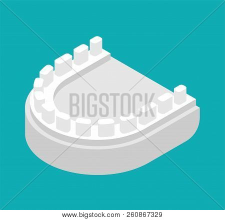 Gypsum Jaw For Dentist Isolated. Cast Of Teeth. Dentist Treatment. Dentistry Vector Illustration