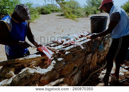 Vila Do Maio ,maio Island, Cape Verde - Jan 5 2016: Local Fisherman Cleaning The Catch In The Shade 