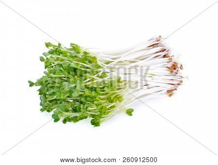 Pile Of Fresh Radish Sprouts Or Kaiware Daikon On White Background