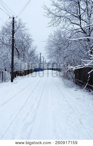 Snowy Winter. Snow On The Branches