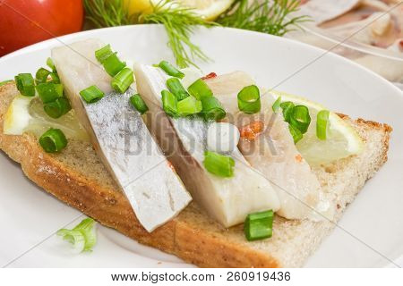 Open Sandwich Made Of Brown Bread And Slices Of Pickled Atlantic Herring Fillet Close-up At Selectiv