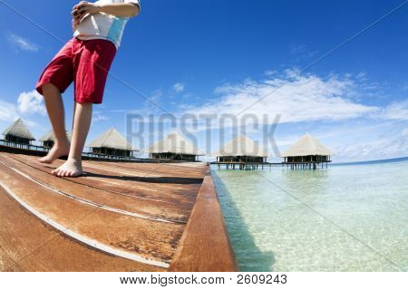 Tropical Beach