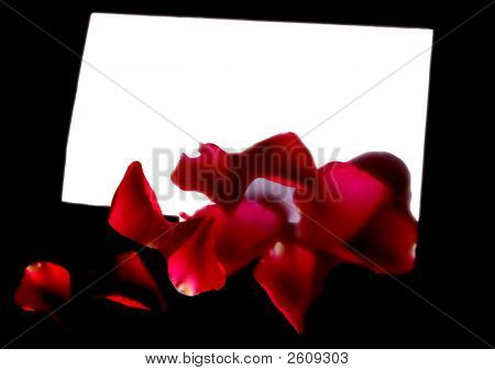 Rose e illustrazione scheda nota
