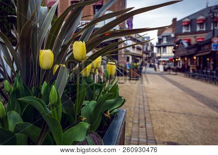 Beautiful Streets And Tulips In The Famous City Of Etretat.  Brittany, France