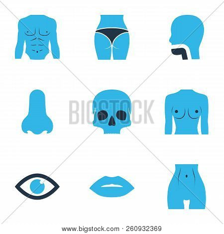 Physique Icons Colored Set With Chest, Skull, Eye And Other Athletic Elements. Isolated  Illustratio