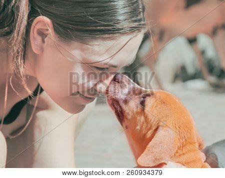 Young Woman Leans Down Towards Red Puppy And Puppy Leaks Her In Nose, Outdoors, Sunny Days, Casual.