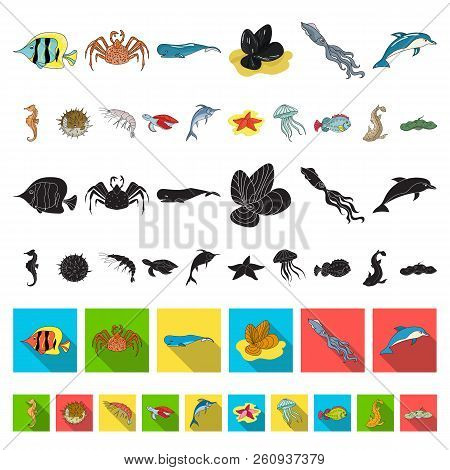 A Variety Of Marine Animals Cartoon Icons In Set Collection For Design. Fish And Shellfish Vector Sy