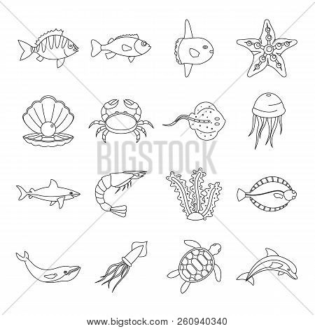 Sea Animals Icons Set. Outline Illustration Of 16 Sea Animals Icons For Web