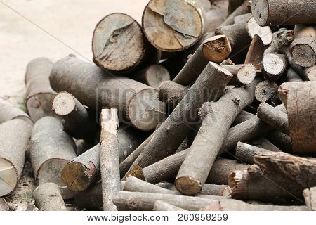Stack Of Firewood For Putting It To Make Fuel,wood From The Rubber Tree.