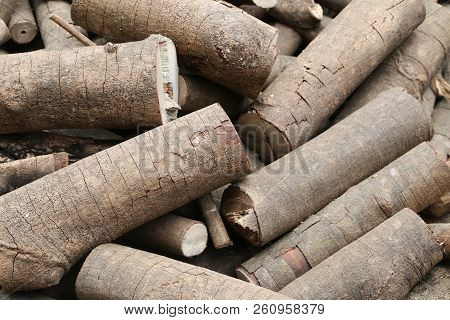 Stack Of Firewood For Putting It To Make Fuel,wood From The Rubber Tree.