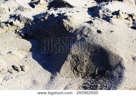 Straw Shaped As Musical G Clave On Sandy Beach Grains Macro Closeup Background Texture