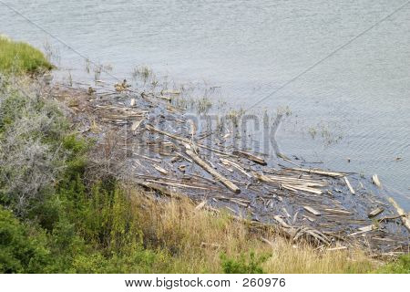 Bois flotté