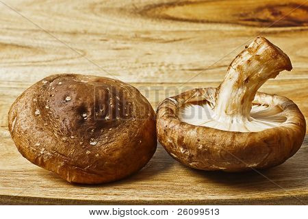 Shiitake