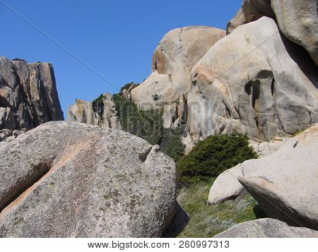Granite Rocks With Mediterranean Vegetation, Capo Testa, Santa Teresa Gallura, Italy