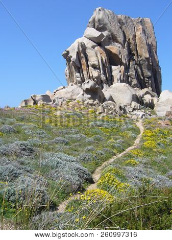 Granite Rocks With Mediterranean Vegetation, Capo Testa, Santa Teresa Gallura, Italy