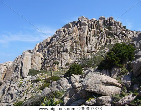 Granite Rocks With Mediterranean Vegetation, Capo Testa, Santa Teresa Gallura, Italy