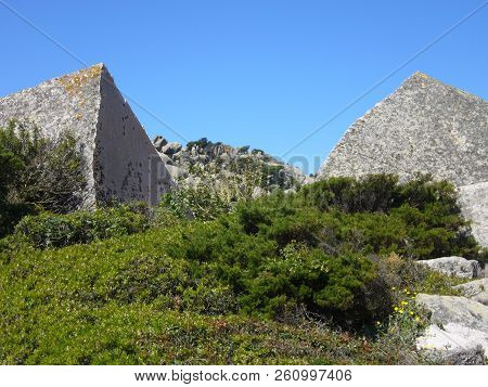 Granite Rocks With Mediterranean Vegetation, Capo Testa, Santa Teresa Gallura, Italy