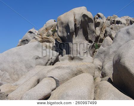 Granite Rocks With Mediterranean Vegetation, Capo Testa, Santa Teresa Gallura, Italy