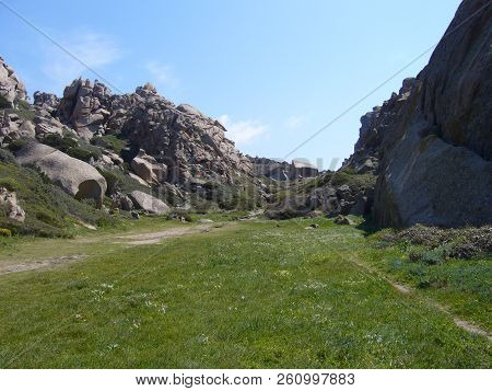 Granite Rocks With Mediterranean Vegetation, Moon's Valley, Capo Testa, Santa Teresa Gallura, Italy