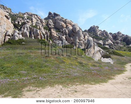 Granite Rocks With Mediterranean Vegetation, Moon's Valley, Capo Testa, Santa Teresa Gallura, Italy