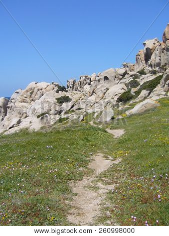 Granite Rocks With Mediterranean Vegetation, Moon's Valley, Capo Testa, Santa Teresa Gallura, Italy