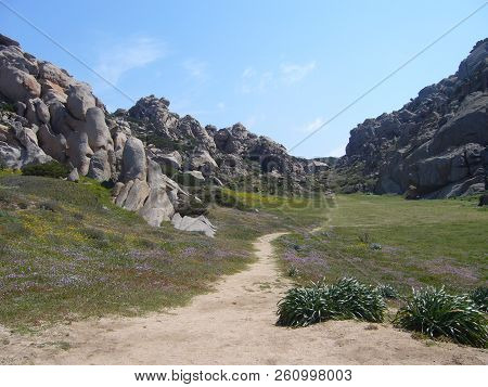 Granite Rocks With Mediterranean Vegetation, Moon's Valley, Capo Testa, Santa Teresa Gallura, Italy