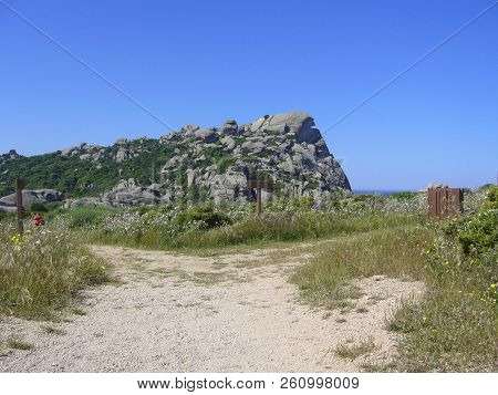 Granite Rocks With Mediterranean Vegetation, Moon's Valley, Capo Testa, Santa Teresa Gallura, Italy