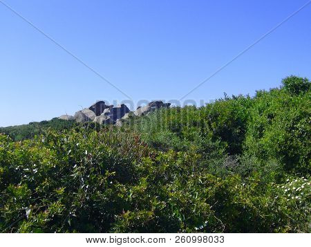 Granite Rocks With Mediterranean Vegetation, Moon's Valley, Capo Testa, Santa Teresa Gallura, Italy