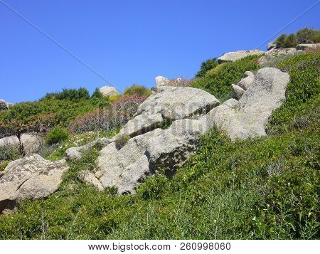 Granite Rocks With Mediterranean Vegetation, Moon's Valley, Capo Testa, Santa Teresa Gallura, Italy