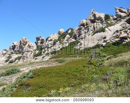 Granite Rocks With Mediterranean Vegetation, Moon's Valley, Capo Testa, Santa Teresa Gallura, Italy